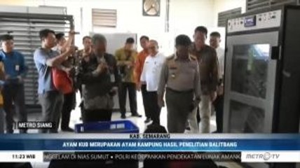 SYL Upayakan Bantuan Modal untuk Peternak Ayam di Semarang