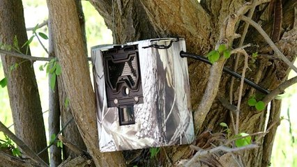 Bursa'da hırsızlık yapan zanlılar fotokapanla tespit edildi