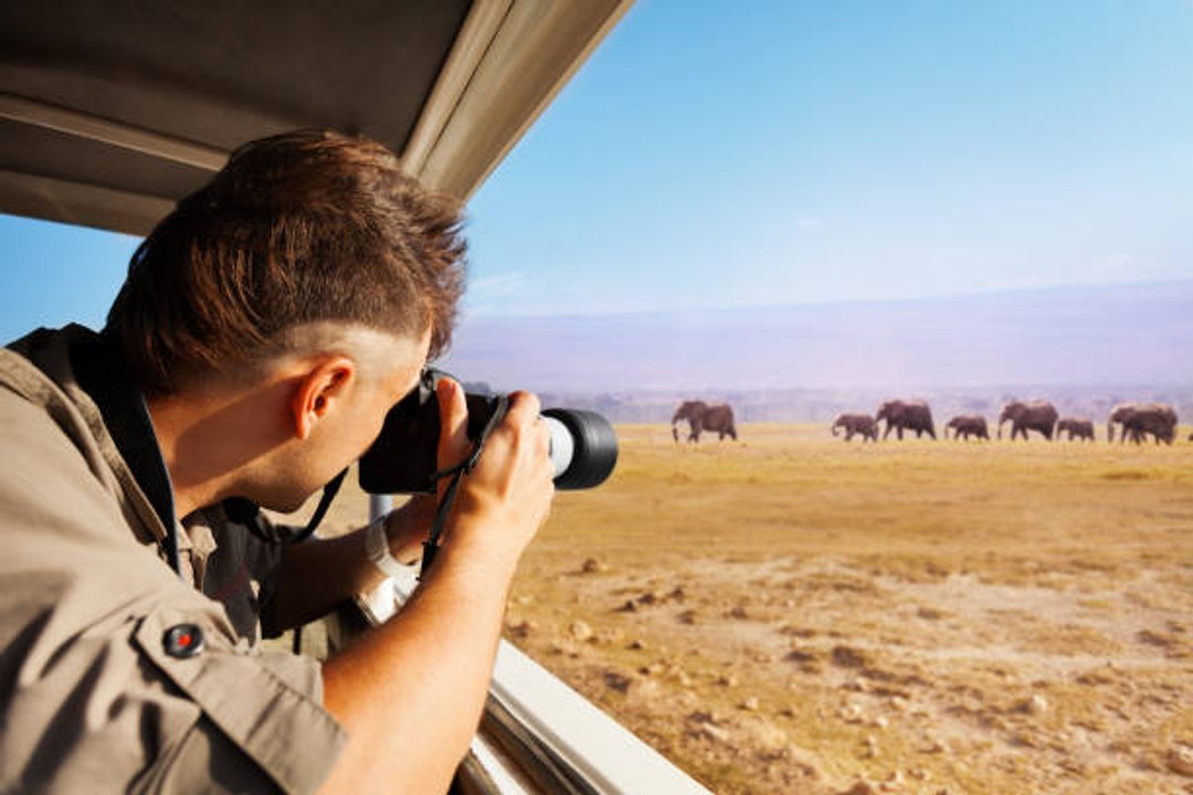 Wie macht man schöne Safari-Fotos?