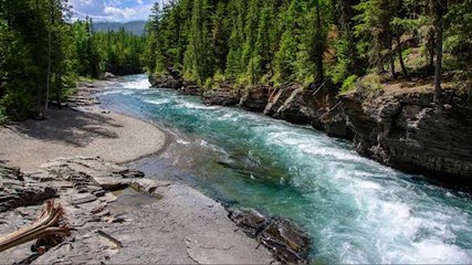 Bio Gas and CNG Will be Generated  from Cow Dung