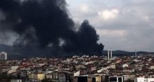 Son dakika: İstanbul'da askeri bölgedeki ormanlık alanda yangın çıktı
