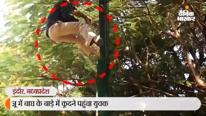 बाघ के बाड़े में कूदने पहुंचा युवक