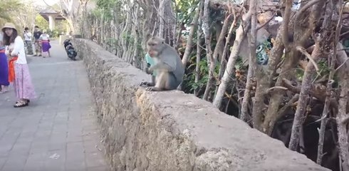 Ranjini Haridas At Indonesia : അലറി വിളിച്ച് രഞ്ജിനി | Oneindia Malayalam