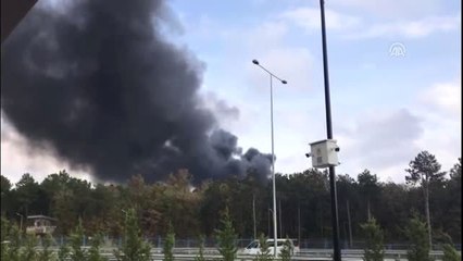 Çekmeköy'de orman yangını