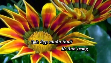 Karaoke Tình Đẹp Muôn Thuở - Ngọc Vũ Ft Chế Thiện Beat