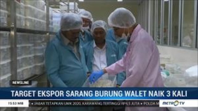Pemerintah Optimis Ekspor Sarang Burung Walet Naik 3 Kali Lipat