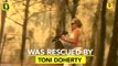Australia: Wildfires Trap Koala, Good Samaritan Comes To Rescue