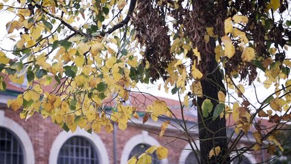 Toute la famille Verte réunie ! [le film de la photo officielle 2019-2020]