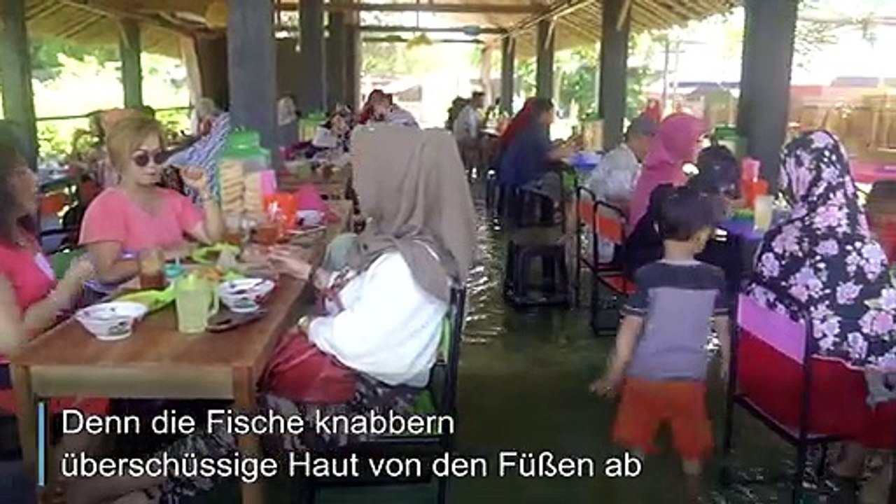 Restaurant bietet fisch-pediküre beim essen