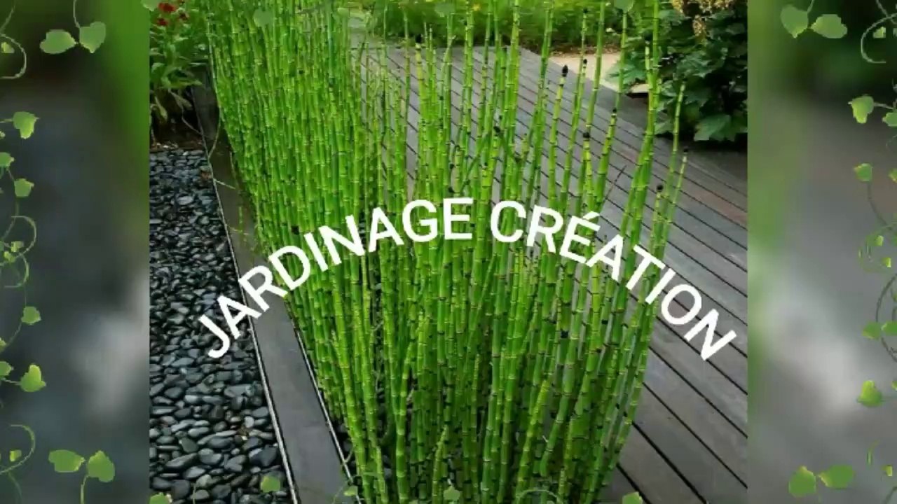 Jardinage à Rabat bassatine El menzah Rabat