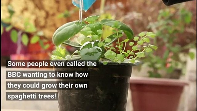 April Fools' Day - The best April Fools' Day pranks