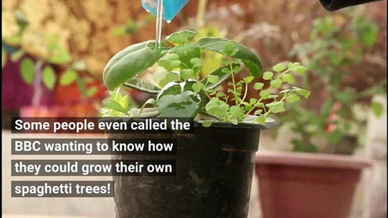 April Fools' Day - The best April Fools' Day pranks