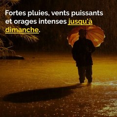 Episode méditerranéen, Rallye du Var, Attaques de loups: voici votre brief info de ce vendredi matin