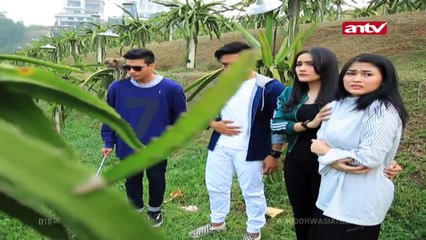 Kematian Buah Naga! - Jodoh Wasiat Bapak - ANTV 27 Juni 2019 Eps 1022 Part 3