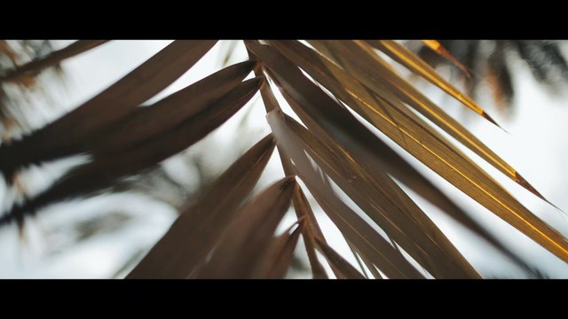 Dubai Adventure Awaits... - Dubai, United Arab Emirates