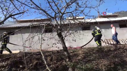 Bolu’da, samanlık yangınında yüzlerce tavuk telef olmaktan kurtarıldı