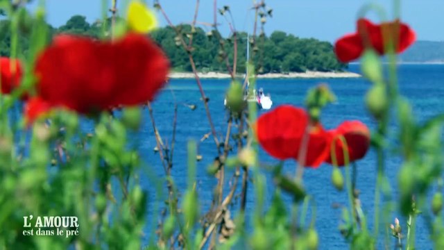 EXCLU AVANT-PREMIERE - L’amour est dans le pré (M6): Catherine et François évoquent leur avenir lors d’un séjour en Croatie - VIDEO