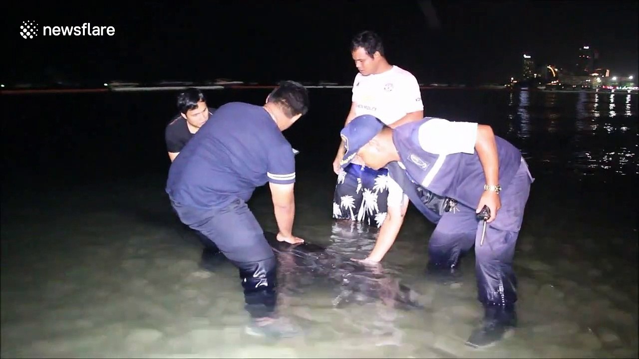 Injured whale rescued after washing up on beach in Thailand