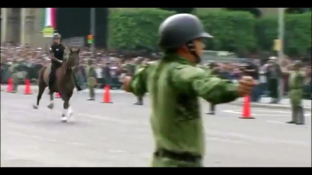 Pendant un défilé, un cavalier voltigeur tente une figure et tombe au sol avec son cheval