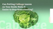 Can Putting Cabbage Leaves on Your Boobs Make It Easier to Stop Breastfeeding? This Influencer Seems to Think So