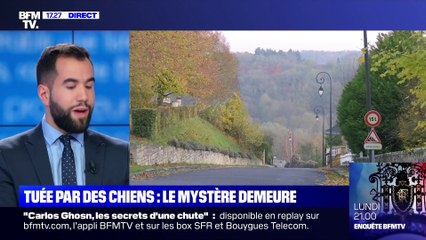 Femme enceinte tuée par des chiens : le point sur l'enquête - 22/11