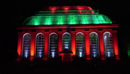 Highlights Tour: Christmas At The Botanics 2019 sparkles with more than a million lights