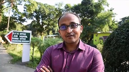 Adotado por mamãe elefanta