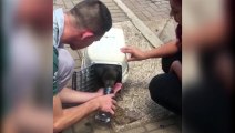 Vídeos mostram cachorrinho deixado em carro com vidros fechados sendo amparado por moradores