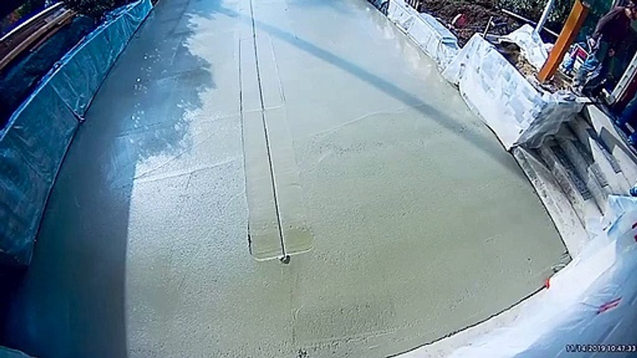 Dalle de béton fraiche : ce chien la détruit en marchant dessus !