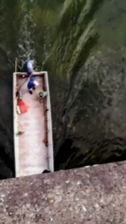 Étrange créature dans la Garonne à Couthures-sur-Garonne