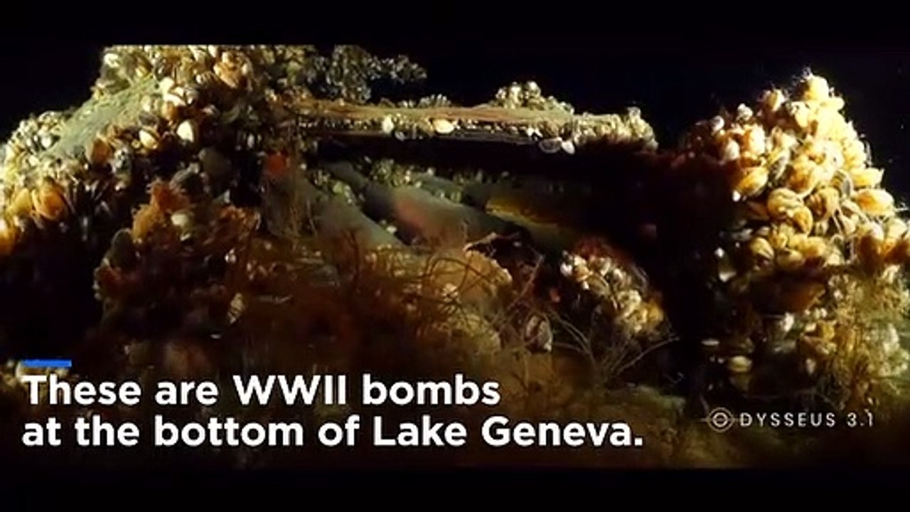 Divers' concern over WWII-era ammunition at bottom of Lake Geneva contradicts Swiss government