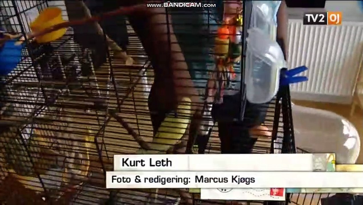 Kurt Kom Forbi ~ Rasmus Poulsen (Autisme i Silkeborg) 30/08/13 på TV2 ØSTJYLLAND