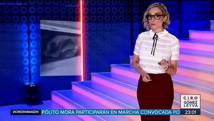 Rescatan a dos lobos marinos en el interior de un auto en CDMX
