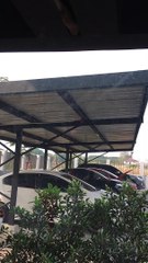 Creepy Cat Stairs From Above