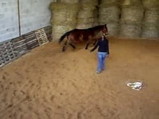 petit saut aprés travail