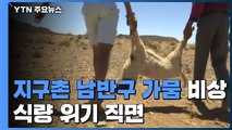 지구촌 남반구 가뭄 비상...식량 위기 직면 / YTN