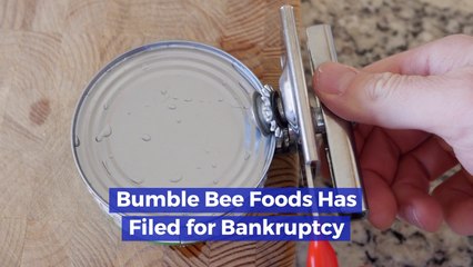 Bumblebee Goes Bankrupt