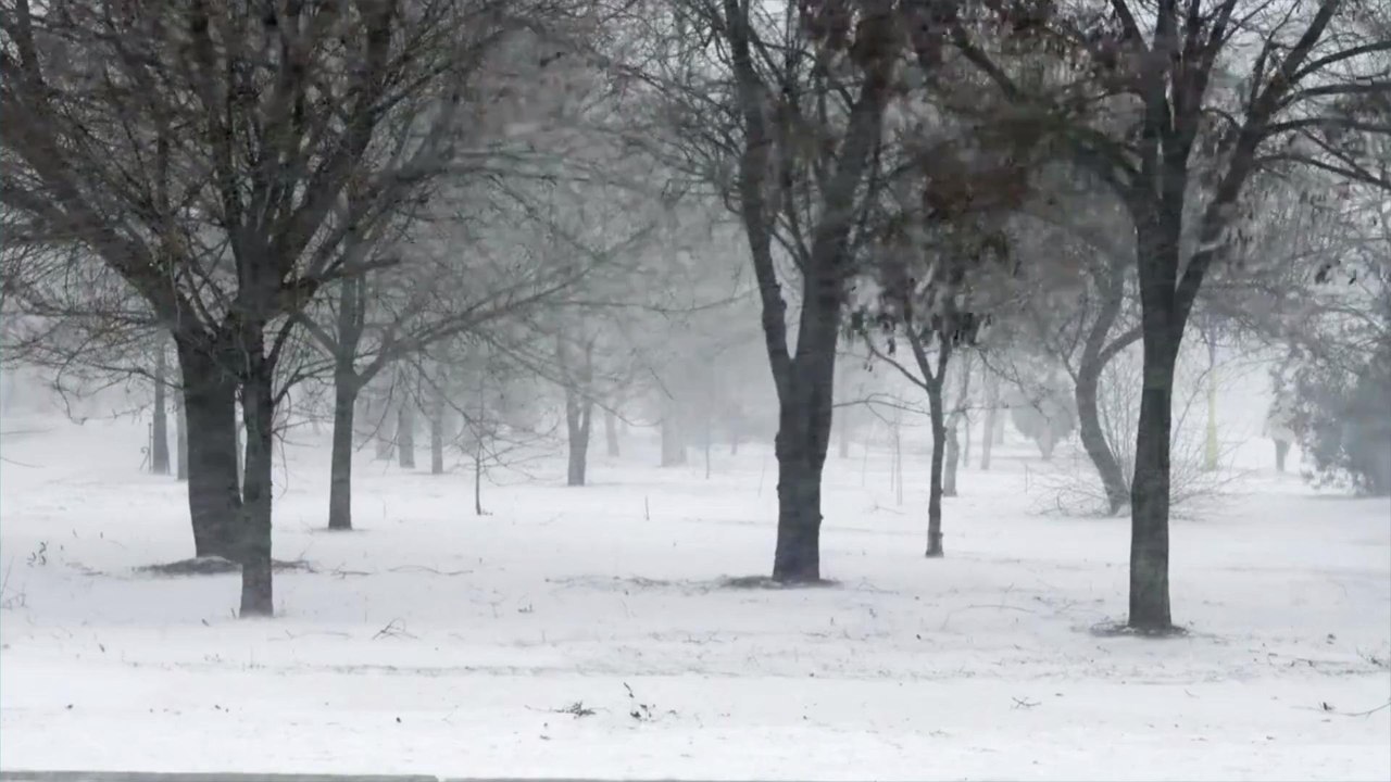 A Global Horseradish Shortage Means Burger King Sauce Is About to Get