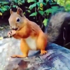 That dog is so happy to get a nut.