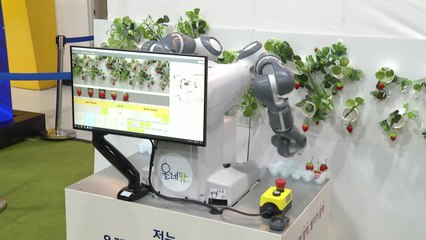 "딸기 수확은 로봇에 맡기세요"...탈바꿈한 농업 기술 모였다 / YTN