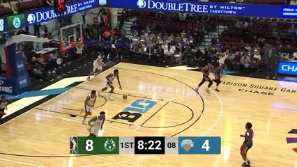 Cameron Reynolds (15 points) Highlights vs. Westchester Knicks