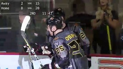 Game Recap - Wheeling Nailers at Indy Fuel