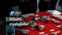 ค้นพบไดโนเสาร์กินเนื้อสายพันธุ์ใหม่ของโลกในไทย | เที่ยงทันข่าว