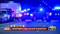 Officer-involved shooting in El Mirage, department's K9 shot