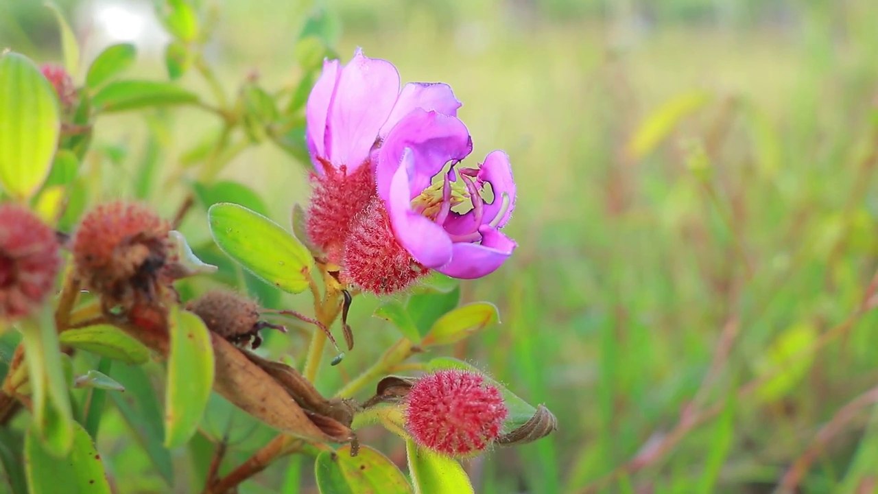 Coca Cola Vs Fanta Catch Fishes From Hole - Unbelievable Fishing With Coca Cola & Fantas
