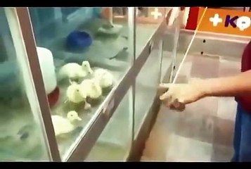 most funny videos ridiculousness full 10 mints episodes