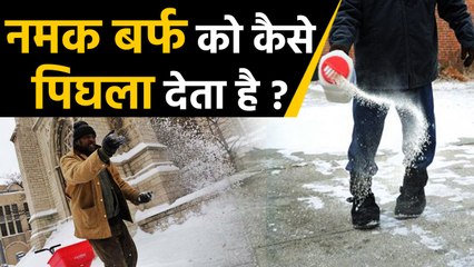 How Does Salt Melt Ice ? Watch Video | नमक बर्फ को कैसे पिघला देता है ? | वनइंडिया हिंदी