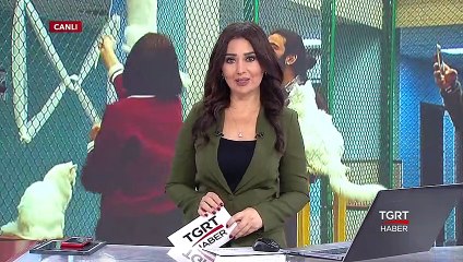 Dünya Güzelini Görmek İçin Geliyorlar