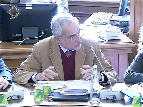 Roma - Audizioni su Piano nazionale energia e clima per il 2030 (22.11.19)