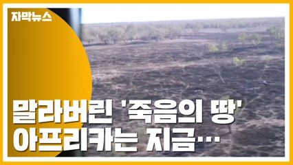 [자막뉴스] 말라버린 '죽음의 땅'...아프리카에 대체 무슨 일이? / YTN